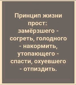 Создать мем: принцип жизни прост, принцип жизни прост замерзшего согреть, текст