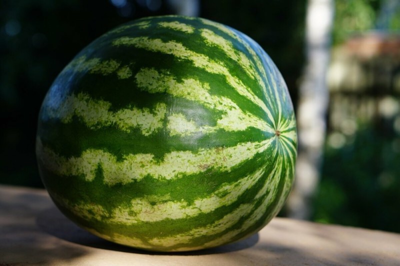 Create meme: appeared, watermelon , ripe watermelon