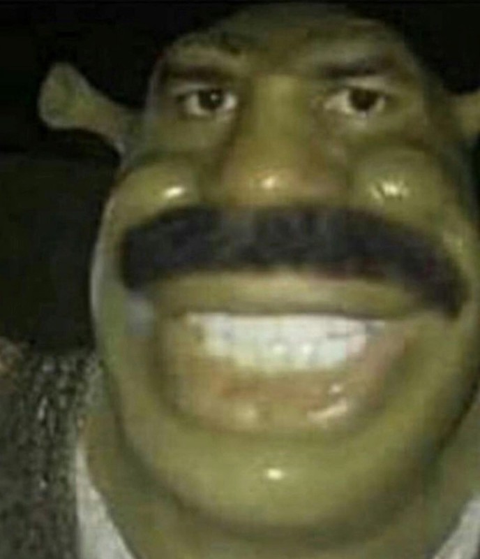 Create meme: Shrek , zeliboba shrek, mustachioed shrek