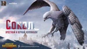 Создать мем: Орёл, сокол, falcon