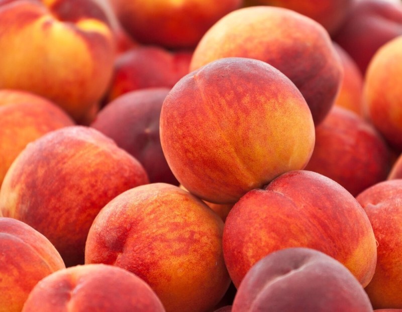 Create meme: nectarine peach, apricot peach, peach variety