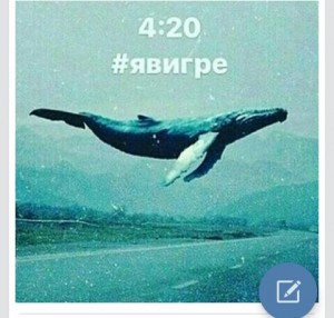 Создать мем: синий кит музыка, blue whale, mavi balina