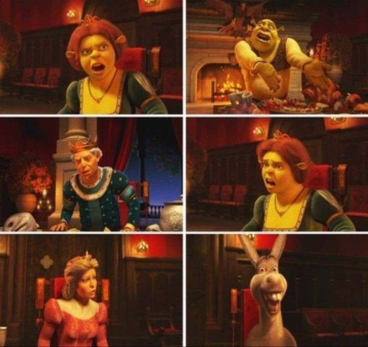 Create meme: Shrek , Shrek Fiona , Papa Shrek Fiona Fiona Fiona Harold