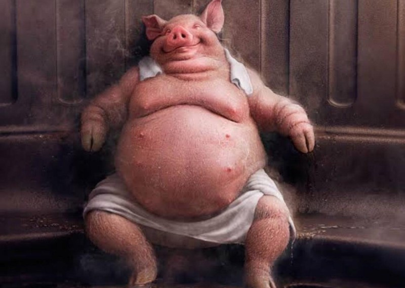Создать мем: жирный поросенок, пиги свинки, свинья