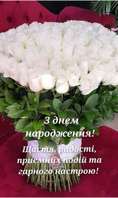 Создать мем: день народження, красивые розы, привітання з днем народження