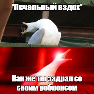 Создать мем: null