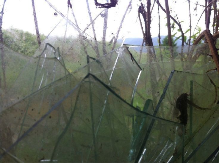 Create meme: the invasion of spiders in Australia, spiders, cobwebs on the glass