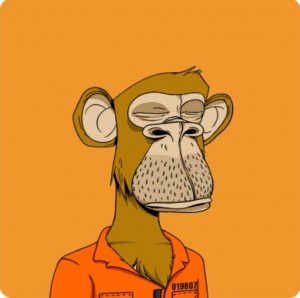 Создать мем: monkey see monkey do, ape, bored ape yacht club all ape