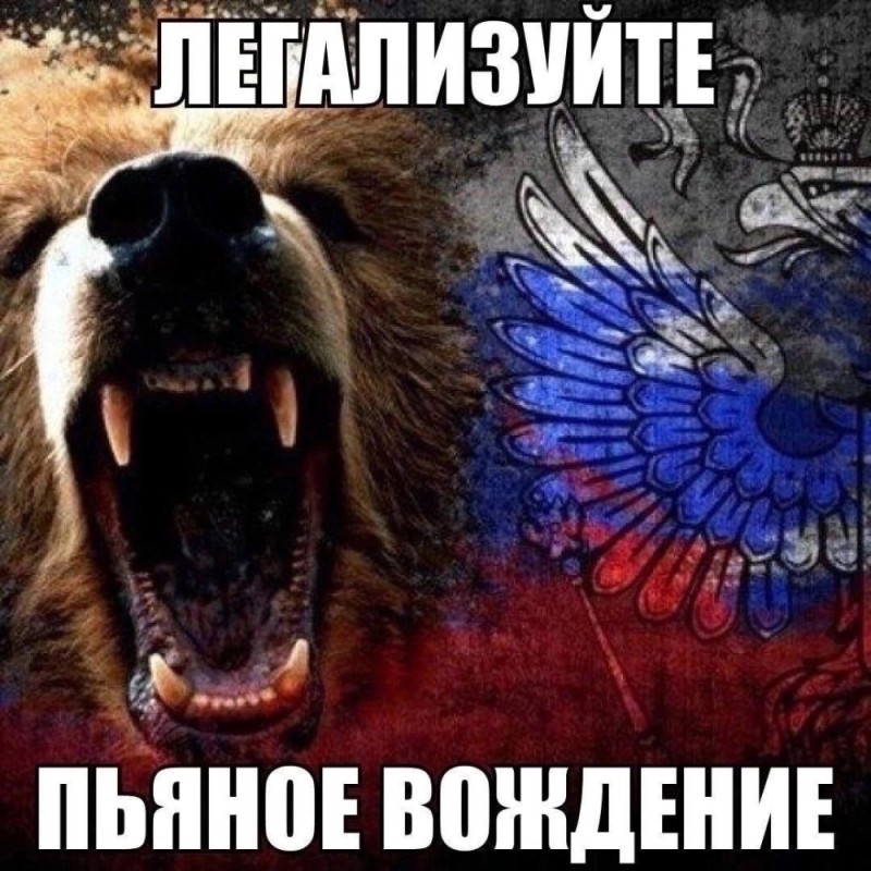 Create meme: angry bear, the Russian bear, grizzly bear 