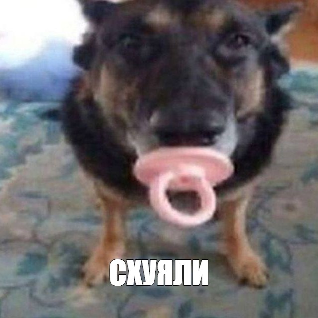 Создать мем: null