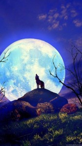 Create meme: full moon, night wolf, love on the moon