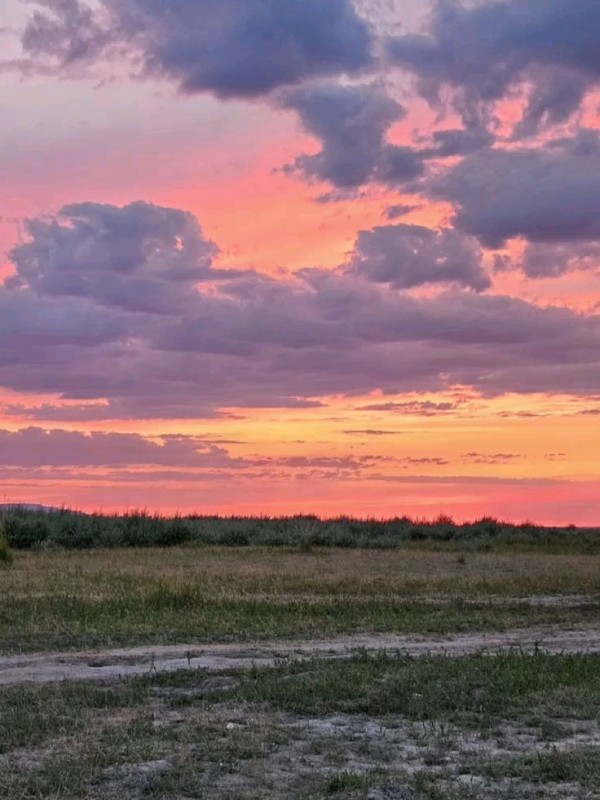 Create meme: dawn in the desert, landscape , sunset field