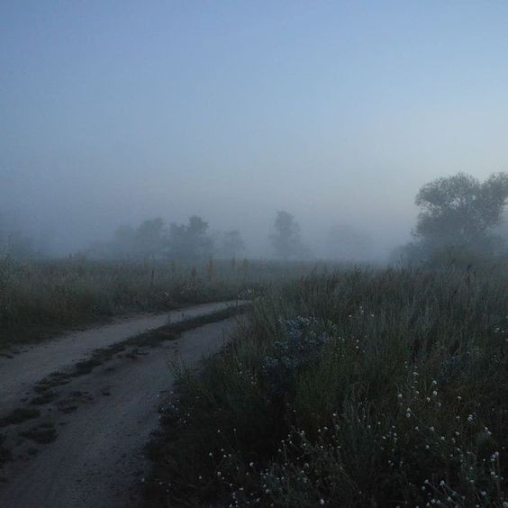 Create meme: foggy morning in the village, Morning fog village, foggy landscapes