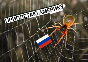 Создать мем: spider, паук плетет паутину, приплетаю мем