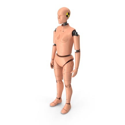 Create meme: dummy , crash dummy m3d, 3d model of the alvanon mannequin