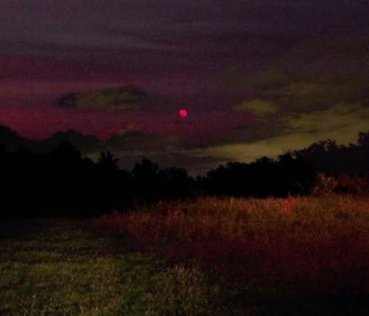 Create meme: landscape , Forest with moon, in the forest at night