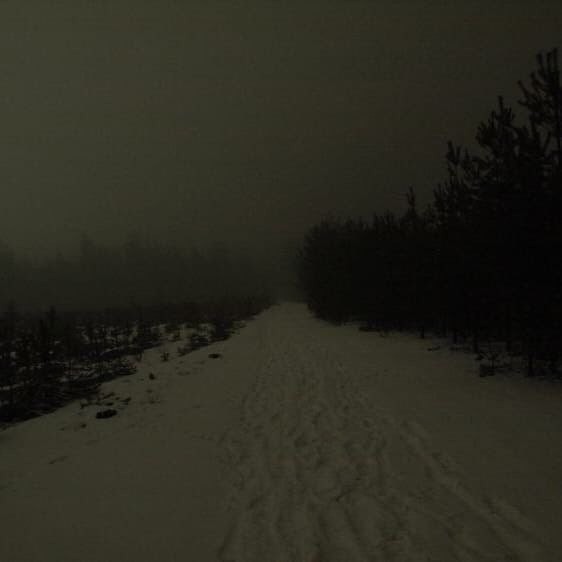 Create meme: dark forest, the landscape is gloomy, darkness