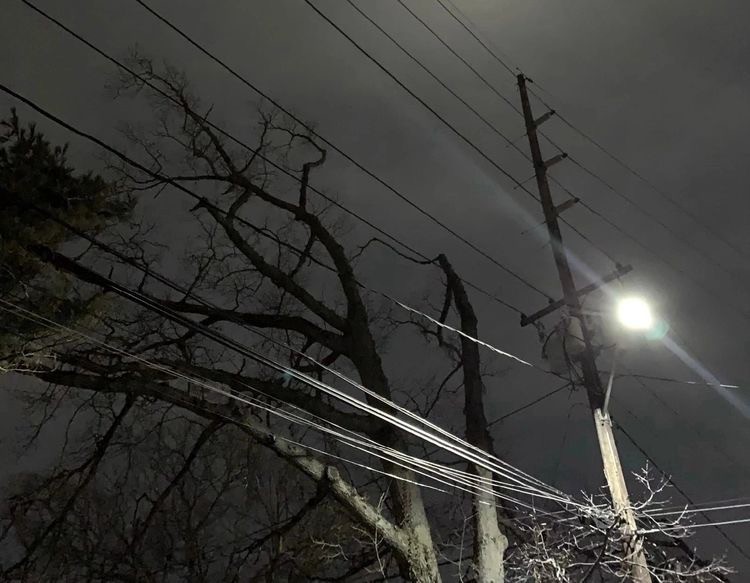 Create meme: the tree fell on the power line, darkness, wire