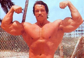 Create meme: Arnold Schwarzenegger biceps, Gemini, photoshop master meme