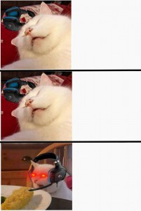 Create meme: cat, memes with cats, cute cats