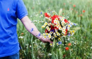 Create meme: bouquet to a friend, blue cornflowers, wildflowers