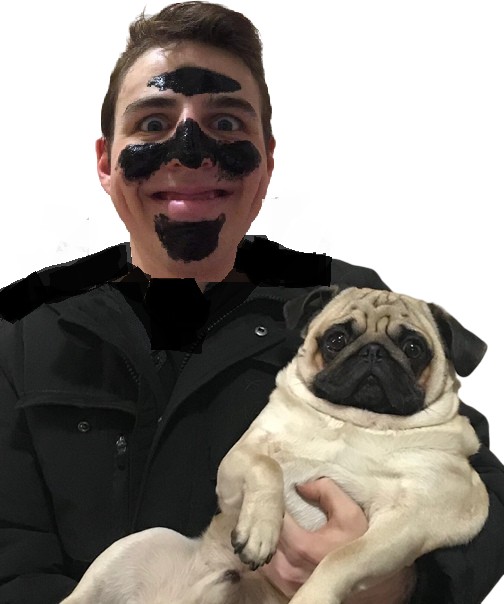 Create meme: breed pug, Moisha the pug, pug itpedia