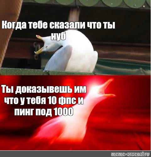 Злая Чайка Мем. Глубокий вдох Мем. Голодная Чайка Мем. Глубокий вдох а Мем кот.