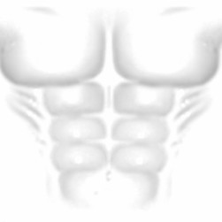 muscle t-shirt - Roblox