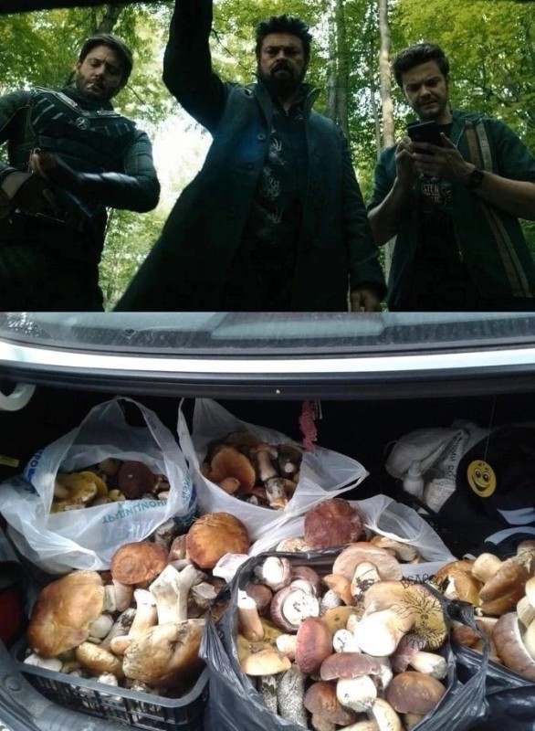 Create meme: a full trunk of mushrooms vaz 2114, by mushrooms, picking mushrooms