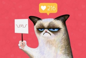 Create meme: Grumpy Cat, unhappy cat, unhappy cat meme