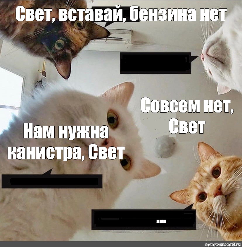 Света вставай