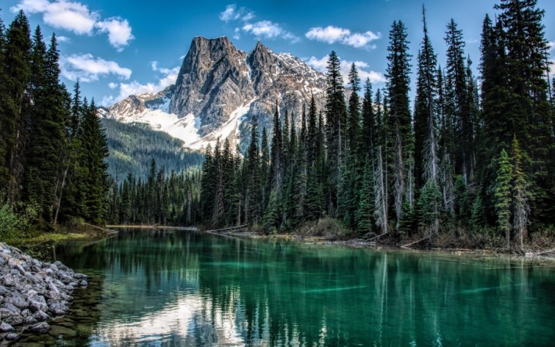 Create meme: Emerald Lake Canada, nature mountains forest, Lake Yoho canada