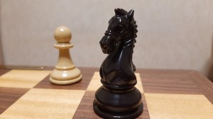 Создать мем: кубок шахматный конь, шахматы конь, король, ферзь, ход конем шахматы