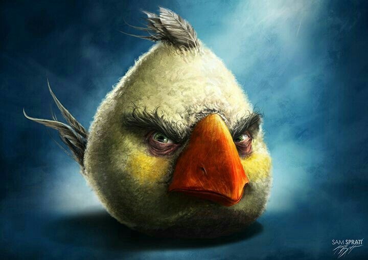 Создать мем: реалистичные птицы энгри бердз, realistic angry birds, злая птица из энгри бердз