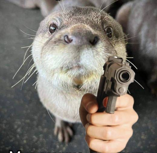 Create meme: otter animal, otter funny, animals 