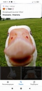 Create meme: goose, goose funny, goose meme