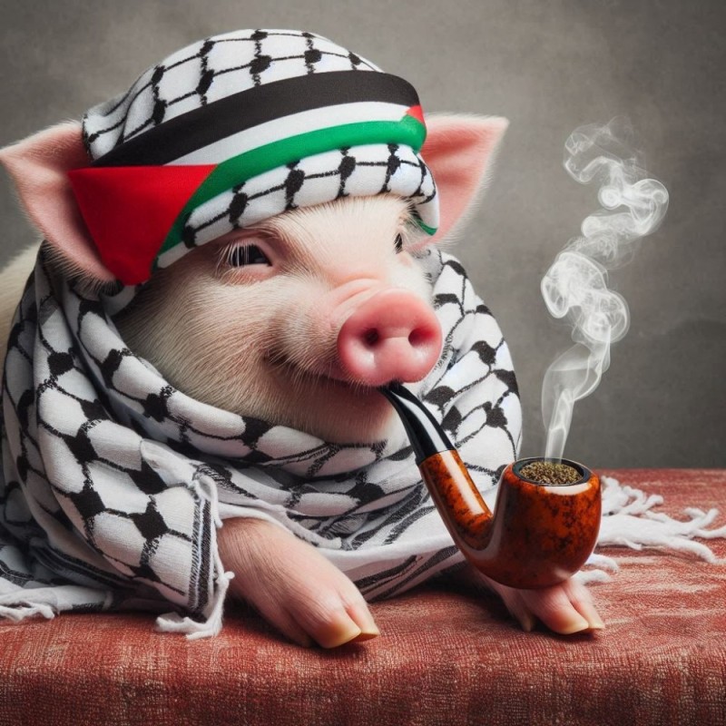 Create meme: pig with a cigarette, piggy, pigs