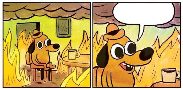 Create meme: dog in heat meme, a dog in a burning house, meme this is fine
