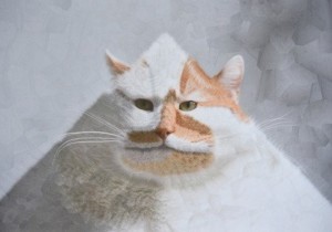 Create meme: cat, cats, embroidery
