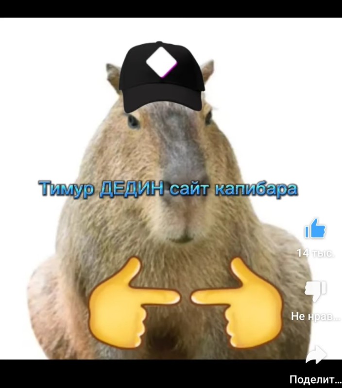 Create meme: the capybara , funny capybaras, screenshot 