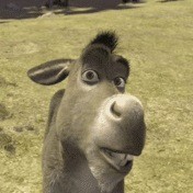 Create meme: donkey from Shrek , the jackass of shrek, donkey 