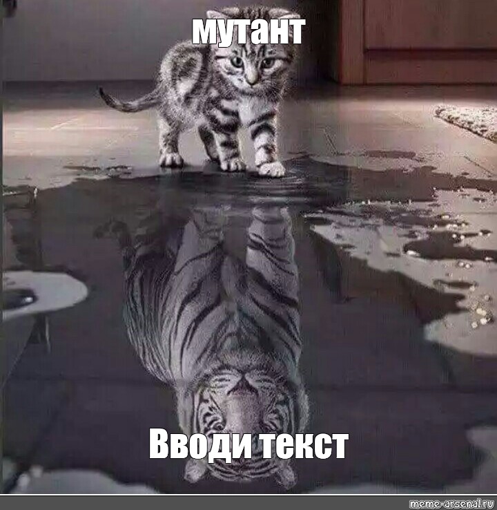 Создать мем: null