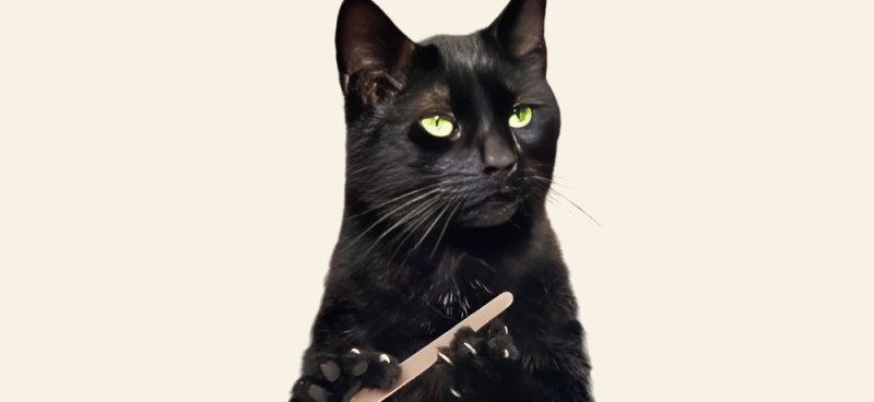 Create meme: a cat with a nail file, The cat sharpens its claws, the cat is black