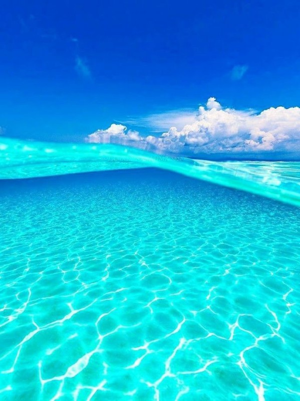 Create meme: seascape , the beach in the Maldives, sea breeze