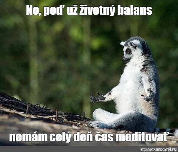 Meme No poď už životný balans nemám celý deň čas meditovať All Templates Meme arsenal com