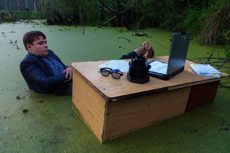 Create meme: in the swamp , meme man in the swamp, The man in the swamp meme