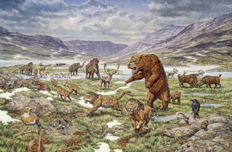 Create meme: Cenozoic era, The Quaternary period of the Cenozoic era, Cenozoic era ice age