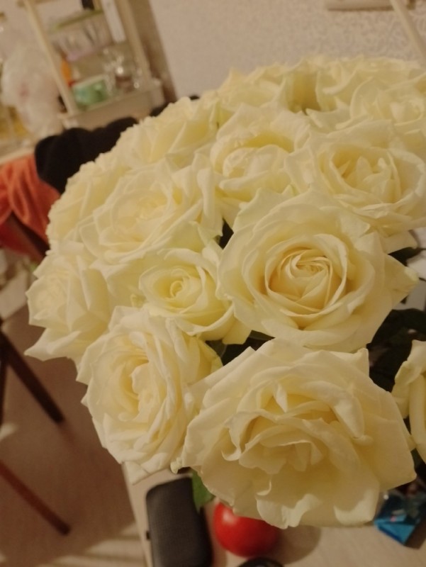 Create meme: white rose, bouquet of white roses, Rosa Mondial