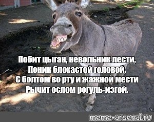 Создать мем: null