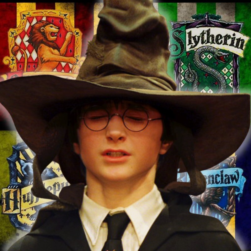 Create meme: The distribution hat from Harry Potter, Harry Potter sorting hat, The Harry Potter hat